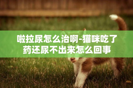 啦拉尿怎么治啊-貓咪吃了藥還尿不出來怎么回事
