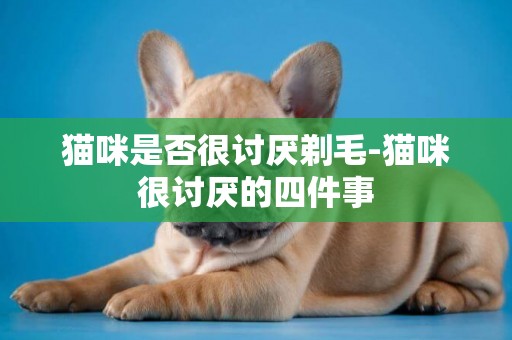 貓咪是否很討厭剃毛-貓咪很討厭的四件事