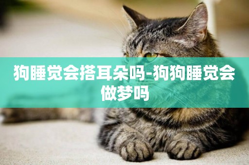 狗睡覺會搭耳朵嗎-狗狗睡覺會做夢嗎