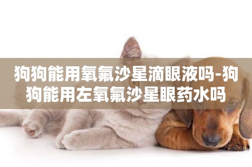 狗狗能用氧氟沙星滴眼液嗎-狗狗能用左氧氟沙星眼藥水嗎