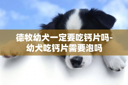 德牧幼犬一定要吃鈣片嗎-幼犬吃鈣片需要泡嗎