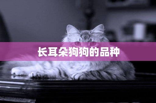 長耳朵狗狗的品種