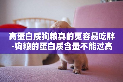 高蛋白質狗糧真的更容易吃胖-狗糧的蛋白質含量不能過高