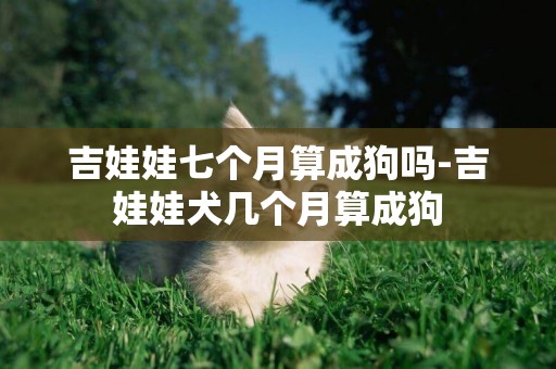 吉娃娃七個月算成狗嗎-吉娃娃犬幾個月算成狗