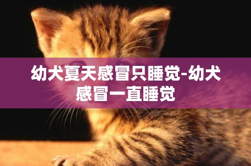 幼犬夏天感冒只睡覺-幼犬感冒一直睡覺
