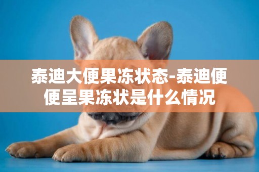 泰迪大便果凍狀態-泰迪便便呈果凍狀是什么情況