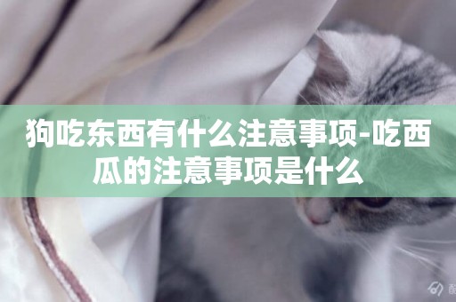 狗吃東西有什么注意事項-吃西瓜的注意事項是什么