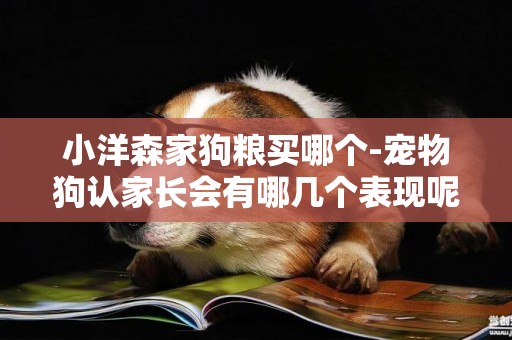 小洋森家狗糧買哪個-寵物狗認家長會有哪幾個表現呢