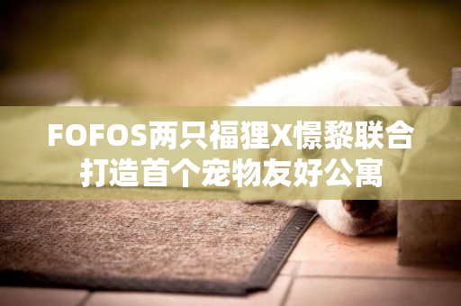 FOFOS兩只福貍X憬黎聯合打造首個寵物友好公寓
