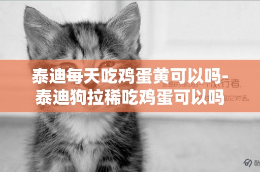 泰迪每天吃雞蛋黃可以嗎-泰迪狗拉稀吃雞蛋可以嗎