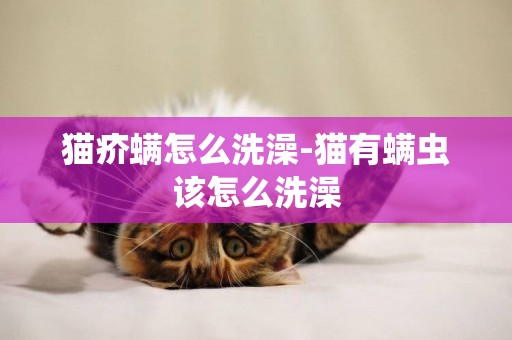 貓疥螨怎么洗澡-貓有螨蟲該怎么洗澡