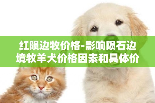 紅隕邊牧價格-影響隕石邊境牧羊犬價格因素和具體價格介紹