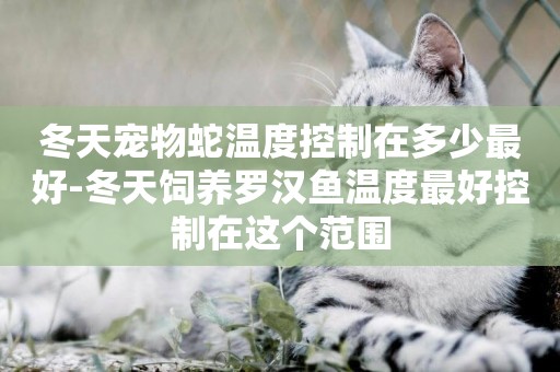 冬天寵物蛇溫度控制在多少最好-冬天飼養羅漢魚溫度最好控制在這個范圍