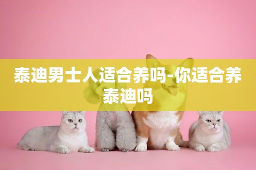 泰迪男士人適合養嗎-你適合養泰迪嗎