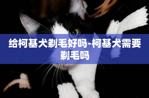 給柯基犬剃毛好嗎-柯基犬需要剃毛嗎