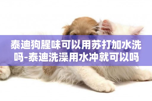 泰迪狗腥味可以用蘇打加水洗嗎-泰迪洗澡用水沖就可以嗎