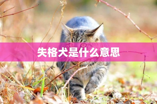 失格犬是什么意思
