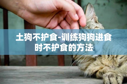 土狗不護食-訓練狗狗進食時不護食的方法