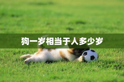 狗一歲相當于人多少歲