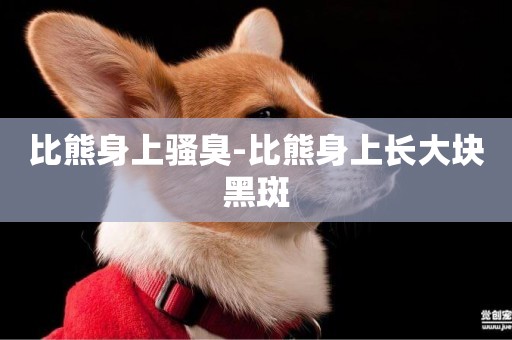 比熊身上騷臭-比熊身上長大塊黑斑