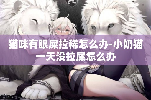 貓咪有眼屎拉稀怎么辦-小奶貓一天沒拉屎怎么辦