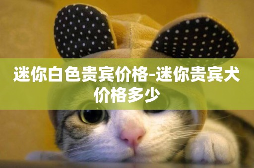迷你白色貴賓價格-迷你貴賓犬價格多少