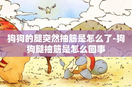 狗狗的腿突然抽筋是怎么了-狗狗腿抽筋是怎么回事