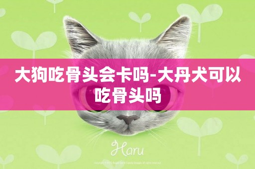 大狗吃骨頭會卡嗎-大丹犬可以吃骨頭嗎