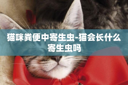 貓咪糞便中寄生蟲-貓會長什么寄生蟲嗎