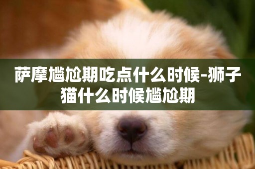 薩摩尷尬期吃點什么時候-獅子貓什么時候尷尬期