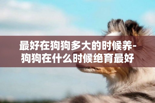 最好在狗狗多大的時候養-狗狗在什么時候絕育最好