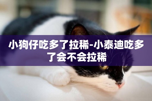 小狗仔吃多了拉稀-小泰迪吃多了會不會拉稀