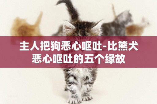 主人把狗惡心嘔吐-比熊犬惡心嘔吐的五個緣故