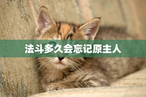 法斗多久會忘記原主人