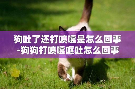 狗吐了還打噴嚏是怎么回事-狗狗打噴嚏嘔吐怎么回事