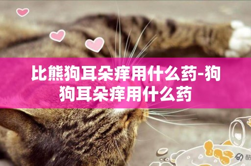 比熊狗耳朵癢用什么藥-狗狗耳朵癢用什么藥