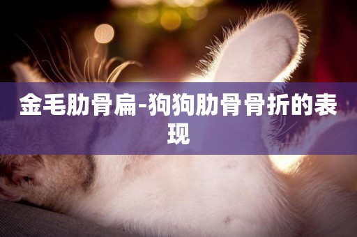 金毛肋骨扁-狗狗肋骨骨折的表現