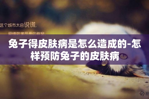 兔子得皮膚病是怎么造成的-怎樣預防兔子的皮膚病