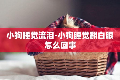 小狗睡覺流淚-小狗睡覺翻白眼怎么回事