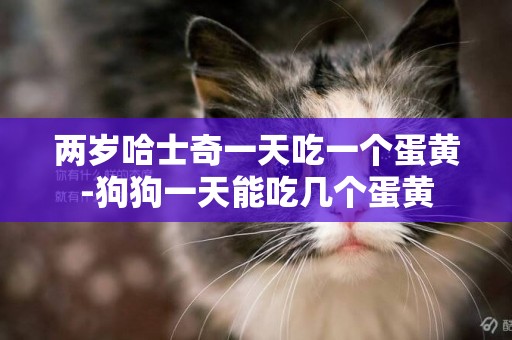 兩歲哈士奇一天吃一個蛋黃-狗狗一天能吃幾個蛋黃
