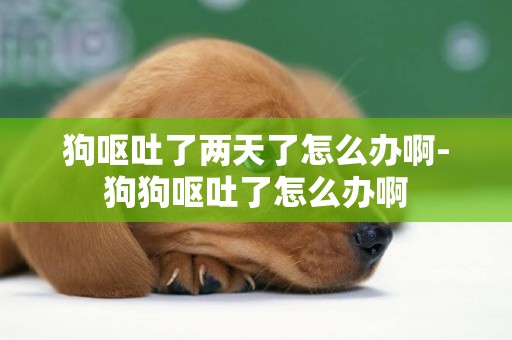 狗嘔吐了兩天了怎么辦啊-狗狗嘔吐了怎么辦啊