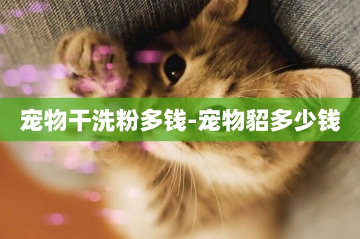 寵物干洗粉多錢-寵物貂多少錢