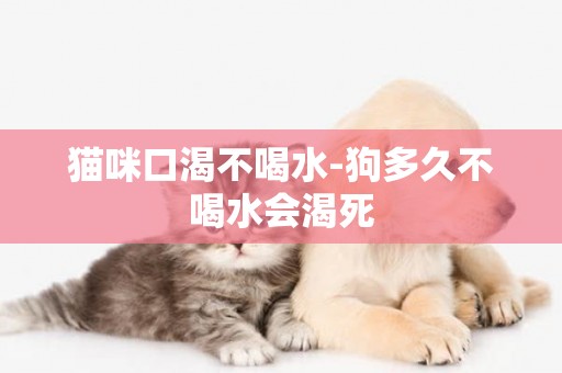 貓咪口渴不喝水-狗多久不喝水會渴死