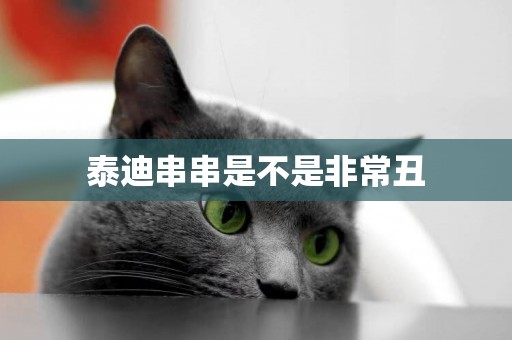 泰迪串串是不是非常丑