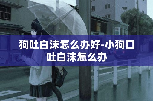 狗吐白沫怎么辦好-小狗口吐白沫怎么辦