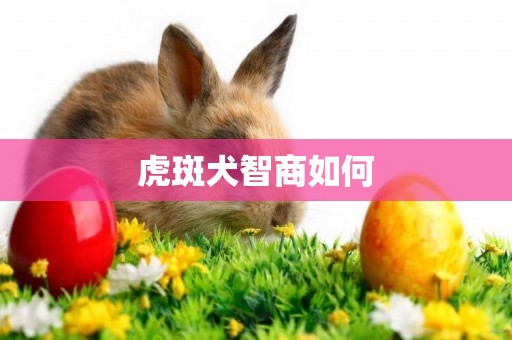 虎斑犬智商如何