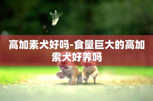 高加素犬好嗎-食量巨大的高加索犬好養嗎