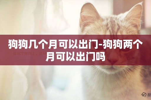 狗狗幾個月可以出門-狗狗兩個月可以出門嗎
