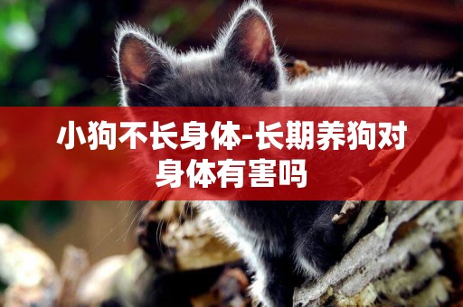 小狗不長身體-長期養狗對身體有害嗎