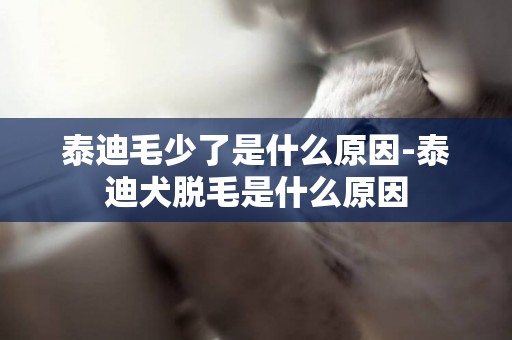 泰迪毛少了是什么原因-泰迪犬脫毛是什么原因